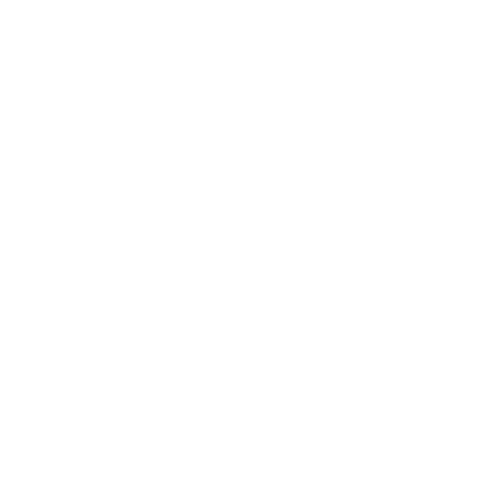 Carnavi